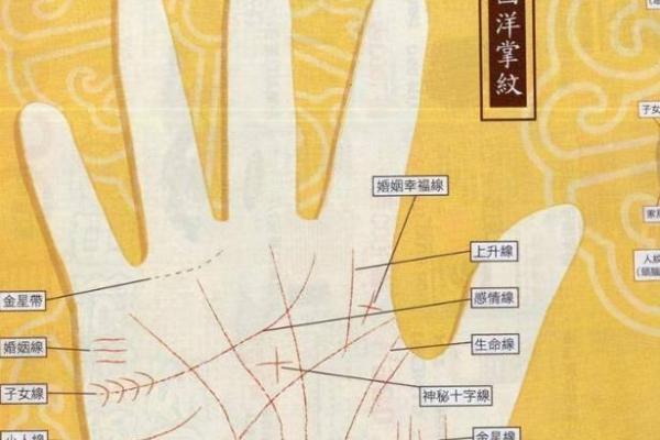 神秘手纹预测未来