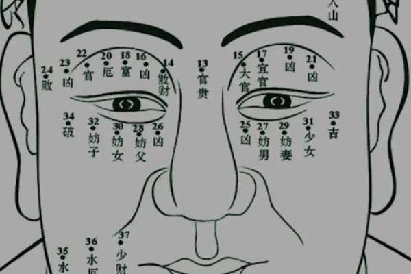 网友热议：宣子痣相之谜，命运轨迹大起底！