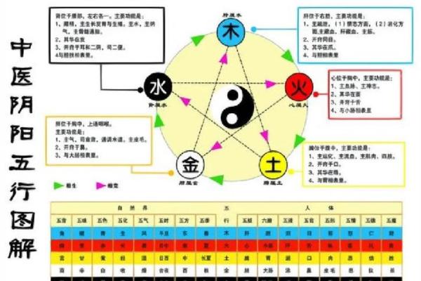 记五行在五行学说中的地位