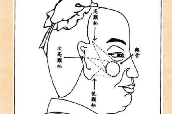 面相揭秘：面骨决定命运，一探究竟！