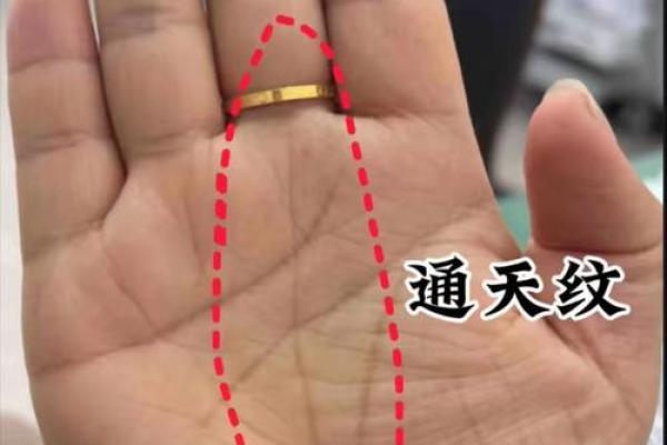 手中富贵纹，财运亨通人生路