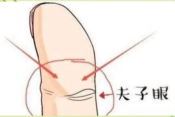 手中富贵纹，财运亨通人生路