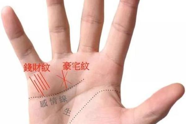 一招识破，有钱人的手相特征大公开！