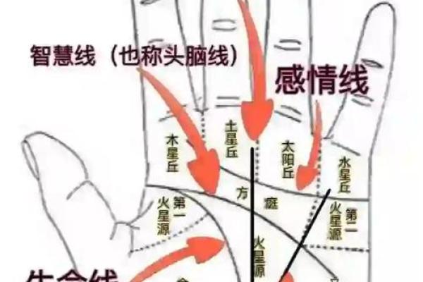 手相中的财富密码：看掌纹知晓财运！