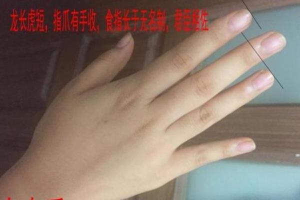 手指长度揭秘：财运亨通的秘密武器