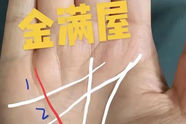 晚年运势揭秘：手相中的黄金法则