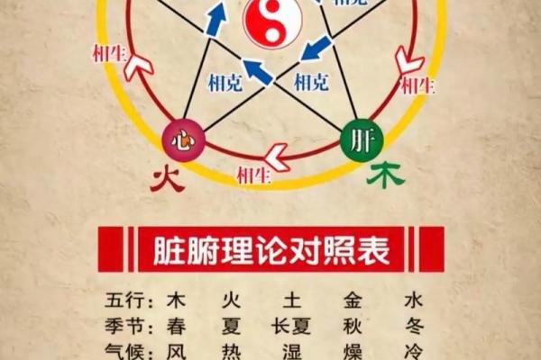 地支双阴与五行命理的密切关系