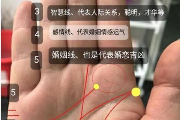 解锁命运密码：手相乱纹背后的惊人秘密