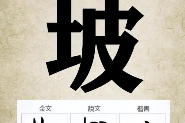 如何选择五字公司名字提高市场识别度