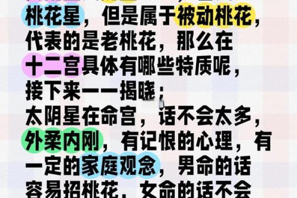 十二星神的神秘起源与象征意义揭秘