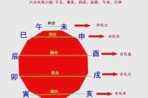 探索阴阳地支与五行的关系