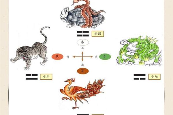 探索阴阳地支与五行的关系