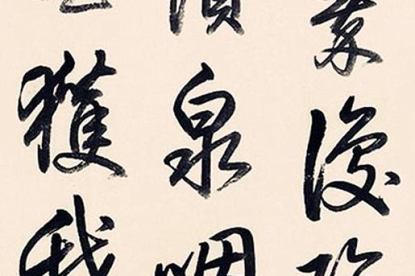 岑诗之韵：探寻名字背后的文化内涵