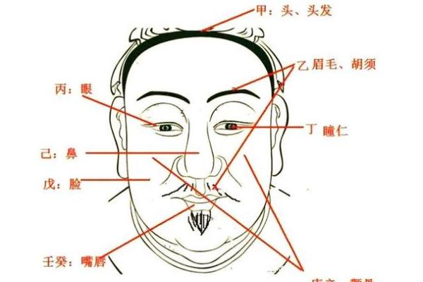 面相运势低迷，揭秘如何破解事业不顺之谜！
