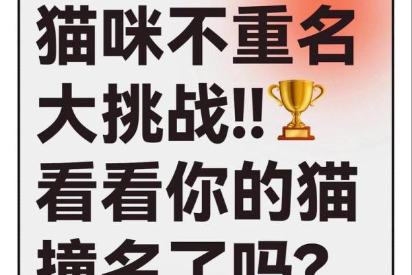 外国猫咪名字大全：为你的宠物挑选一个国际范儿的名字