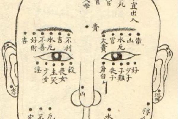 痣美人必备：金缕纹理面部痣的时尚秘籍