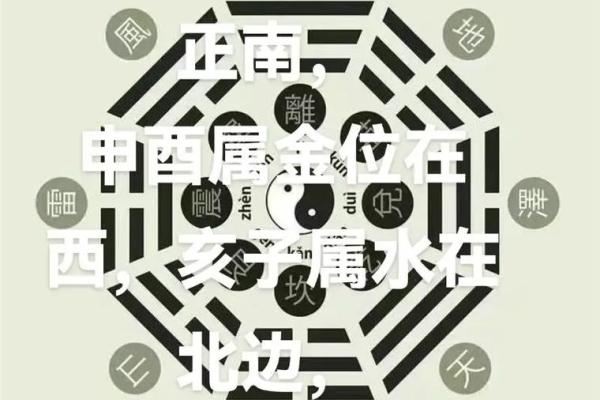 寅在五行中的象征与意义