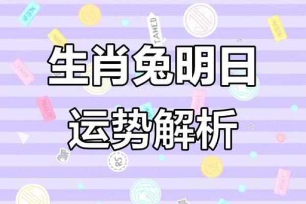 手相识命运，兔年运势大揭秘！