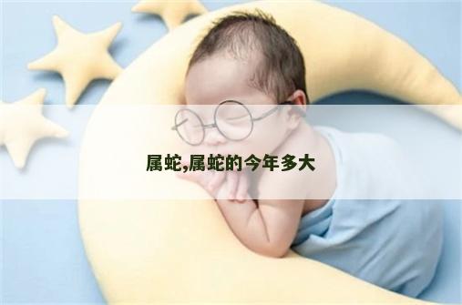 属蛇,属蛇的今年多大