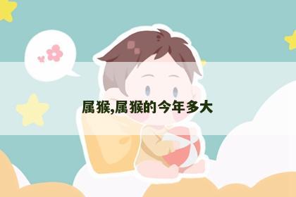 属猴,属猴的今年多大