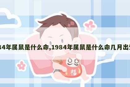 1984年属鼠是什么命,1984年属鼠是什么命几月出生好