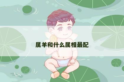 属羊和什么属相最配