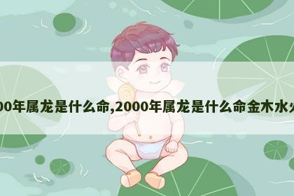 2000年属龙是什么命,2000年属龙是什么命金木水火土