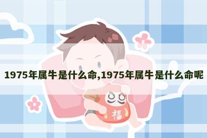 1975年属牛是什么命,1975年属牛是什么命呢
