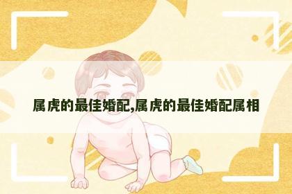 属虎的最佳婚配,属虎的最佳婚配属相