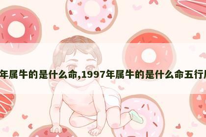 1997年属牛的是什么命,1997年属牛的是什么命五行属什么