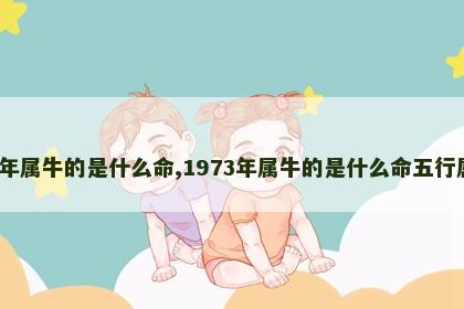1973年属牛的是什么命,1973年属牛的是什么命五行属什么