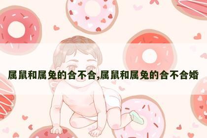 属鼠和属兔的合不合,属鼠和属兔的合不合婚