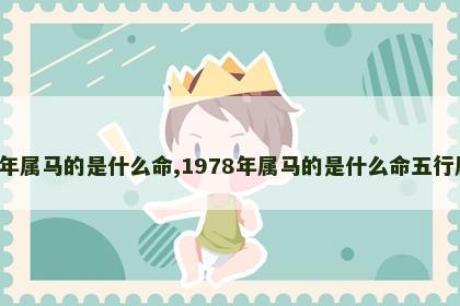 1978年属马的是什么命,1978年属马的是什么命五行属什么