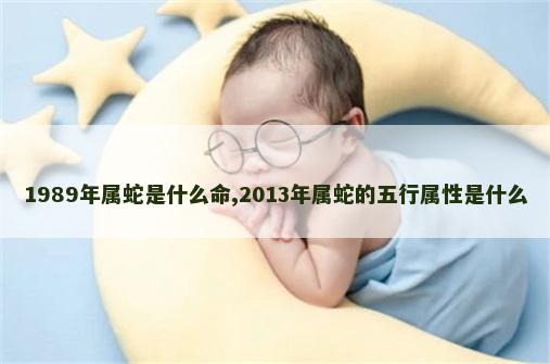 1989年属蛇是什么命,2013年属蛇的五行属性是什么