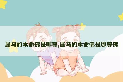 属马的本命佛是哪尊,属马的本命佛是哪尊佛
