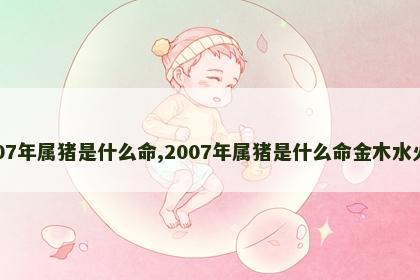 2007年属猪是什么命,2007年属猪是什么命金木水火土