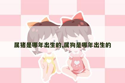 属猪是哪年出生的,属狗是哪年出生的