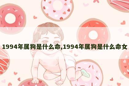 1994年属狗是什么命,1994年属狗是什么命女