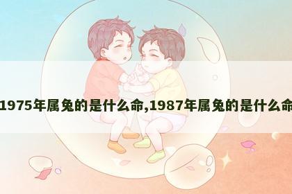 1975年属兔的是什么命,1987年属兔的是什么命