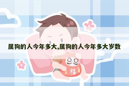属狗的人今年多大,属狗的人今年多大岁数