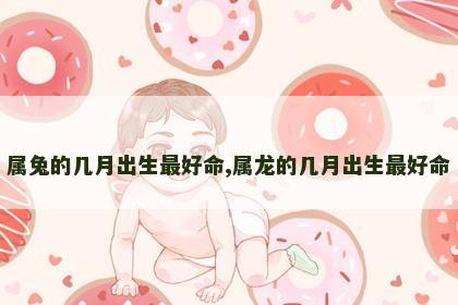 属兔的几月出生最好命,属龙的几月出生最好命