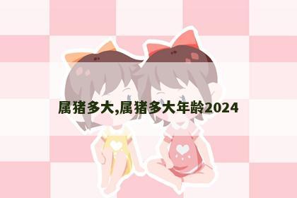 属猪多大,属猪多大年龄2024