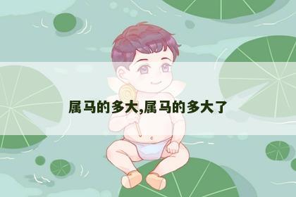属马的多大,属马的多大了