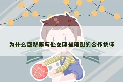 为什么巨蟹座与处女座是理想的合作伙伴