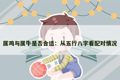 属鸡与属牛是否合适：从五行八字看配对情况