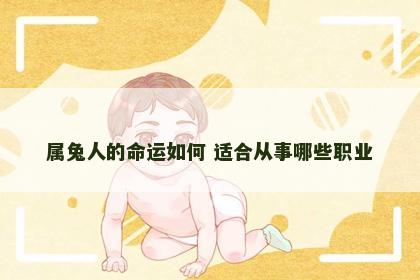 属兔人的命运如何 适合从事哪些职业
