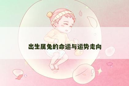出生属兔的命运与运势走向