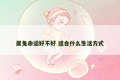 属兔命运好不好 适合什么生活方式