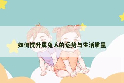 如何提升属兔人的运势与生活质量