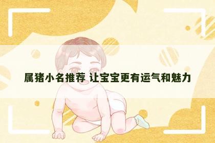 属猪小名推荐 让宝宝更有运气和魅力
